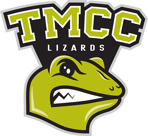 Truckee Meadows Lizards